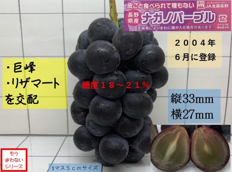 20220917 長野県産ぶどう　ナガノパープル　皮ごと食べられる