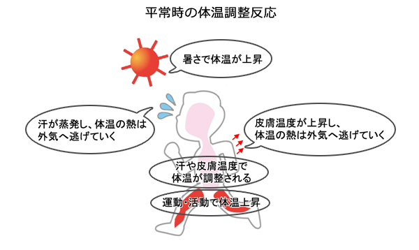 環境省　熱中症になる原因　もう迷わないシリーズ